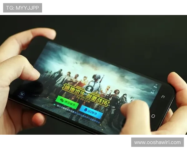 PG娱乐app网址官方入口指南，详细介绍安全登录流程和常见问题解决方案